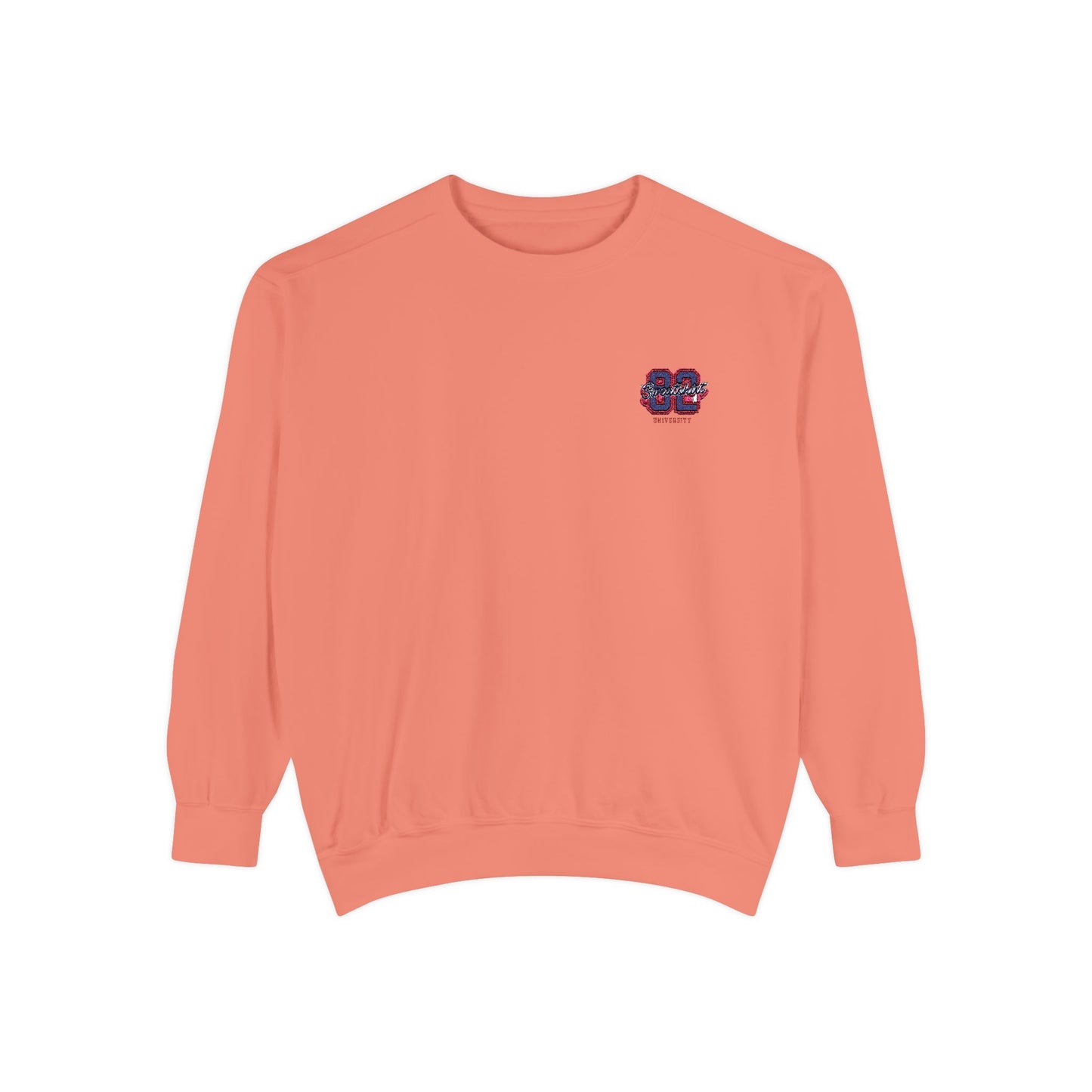 University Embroidered Sweatshirt - Vintage Aesthetic Varsity Crewneck