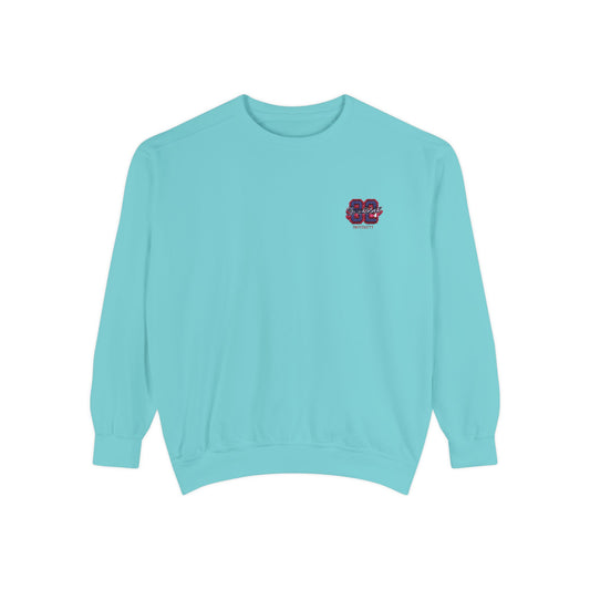 University Embroidered Sweatshirt